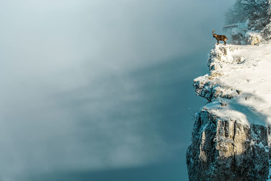 Winter in der Schweiz