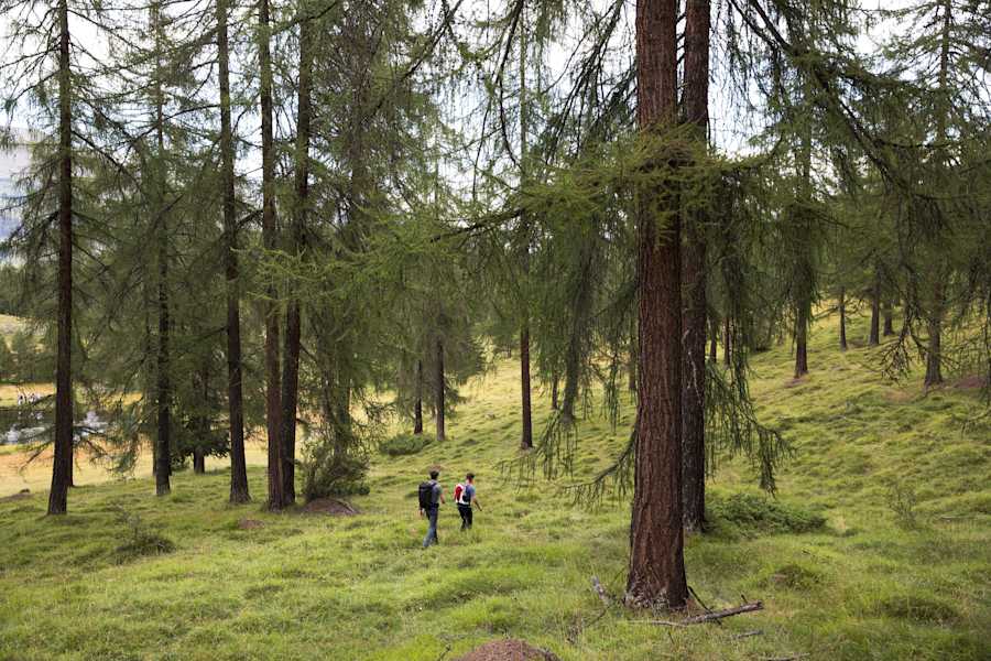 Lai Nair: Der kleine Moorsee hinter den Bäumen ist ein beliebtes Ausflugsziel