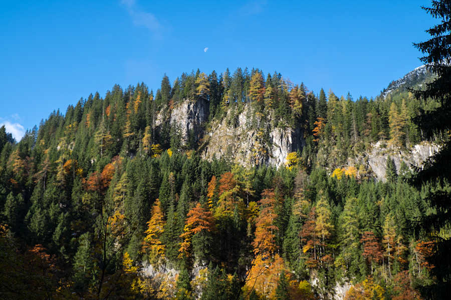 Nationalpark Gesäuse „Indian Summer“