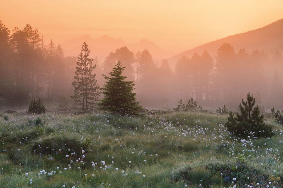 Glaubenbergpass Hochmoor