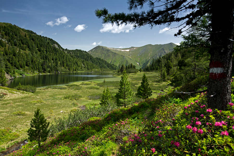 Endlich Ruhe: Wandern in der Steirischen Sölk