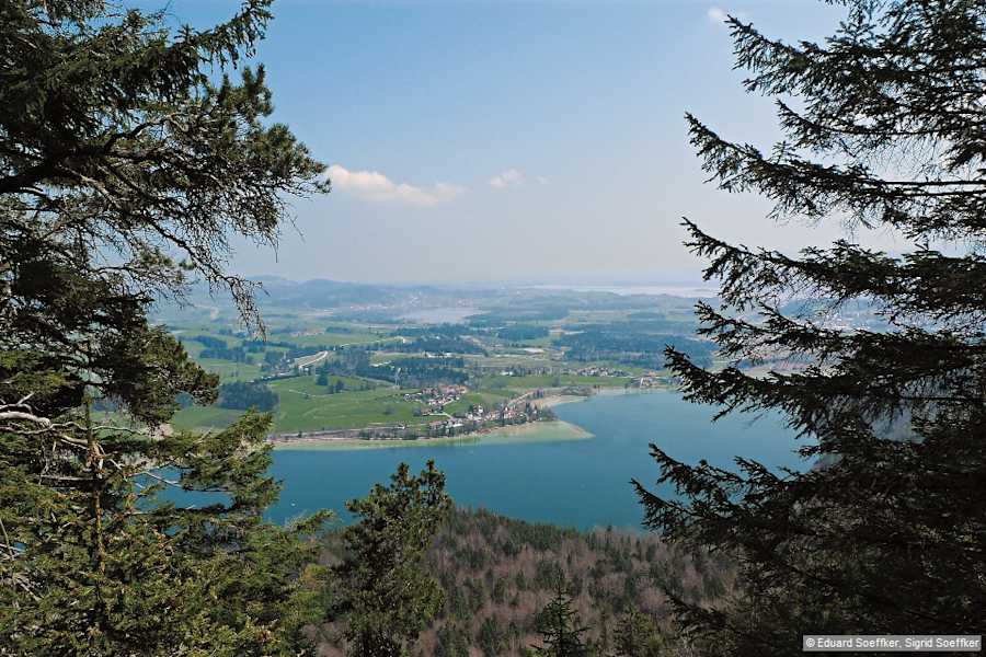 Im Bild der Weißen- (vorne), Hopfen- und Forgensee (hinten).