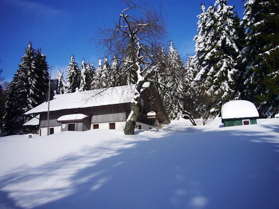 Nur ein paar hundert Meter von Deggendorf entfernt befindet sich auf der Rusel die Hochwaldhütte