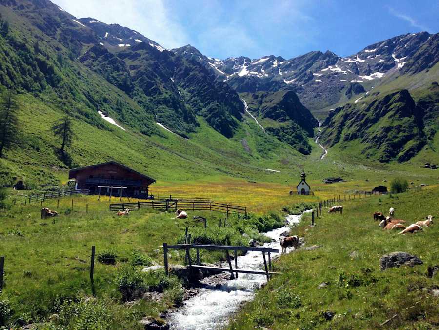 Gölbnerblickhütte im Kristeinertal bei Anras