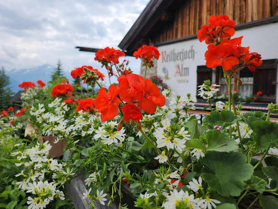 Reitherjoch Alm