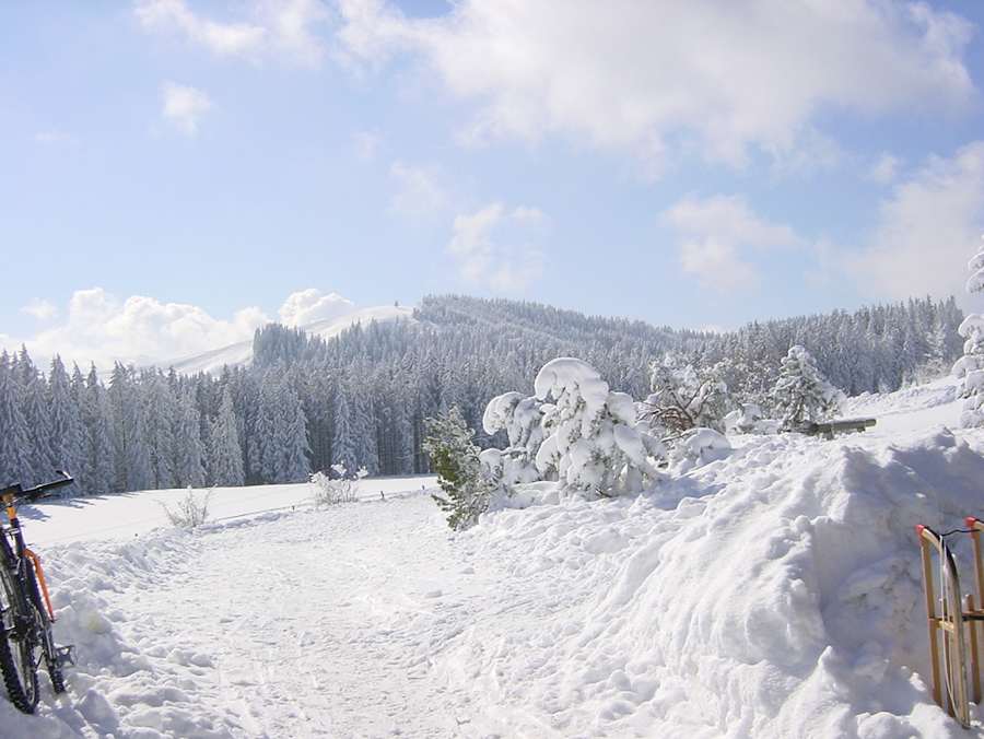 Aussicht vom Blomberghaus im Winter