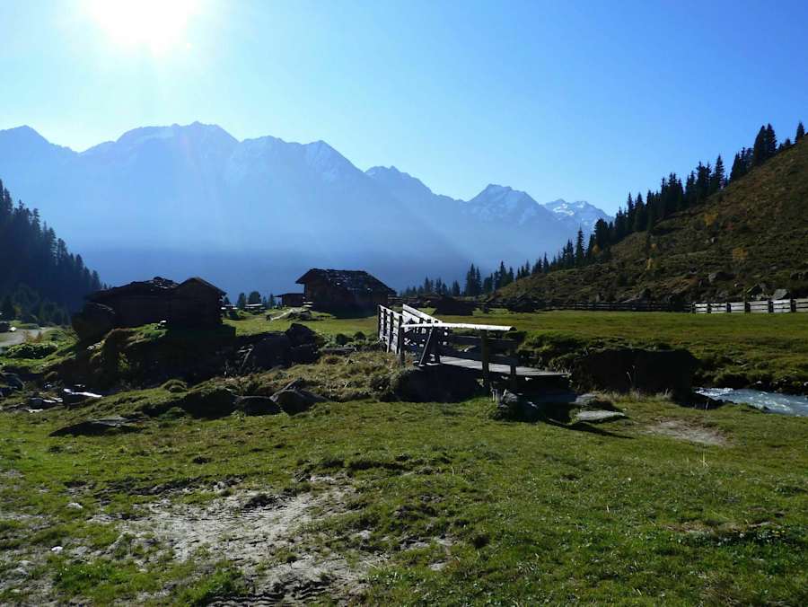 Auf der Falbesoner Ochsenalm