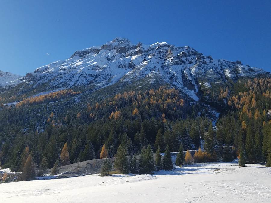 Die Matreier Ochsenalm liegt am Fuße der Serles.