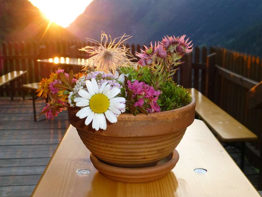 Preintalerhütte - Terrasse
