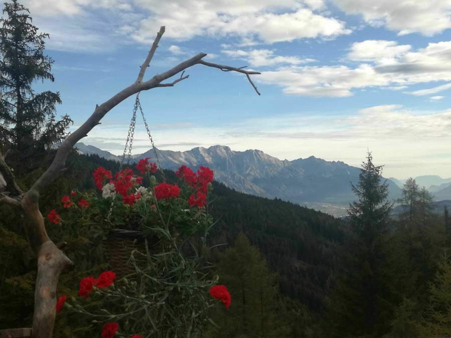 Die Aussicht von der Kreihter Alm