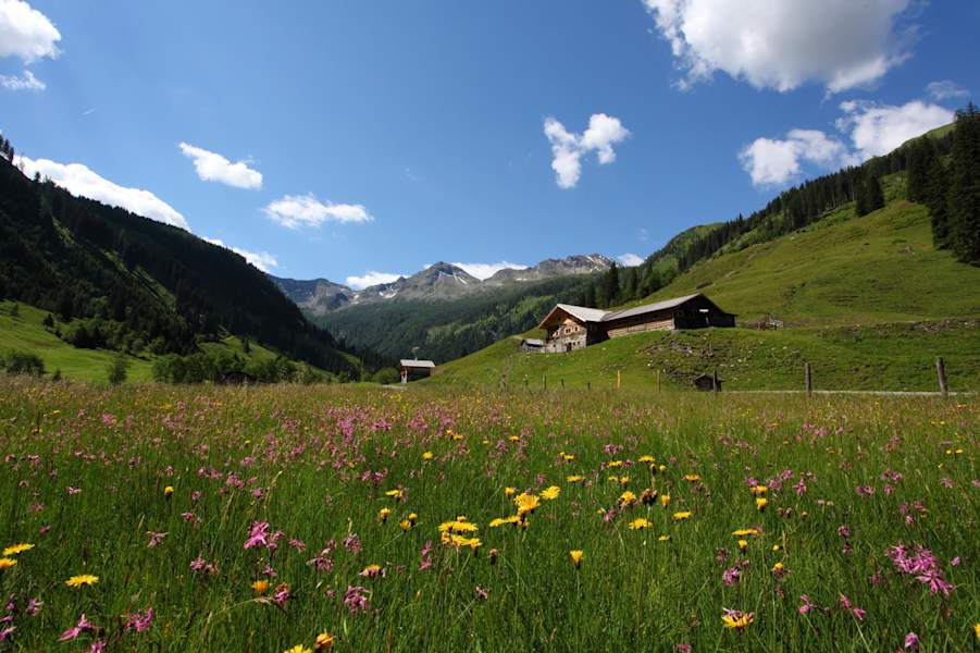 Bergsteigerdorf Hüttschlag