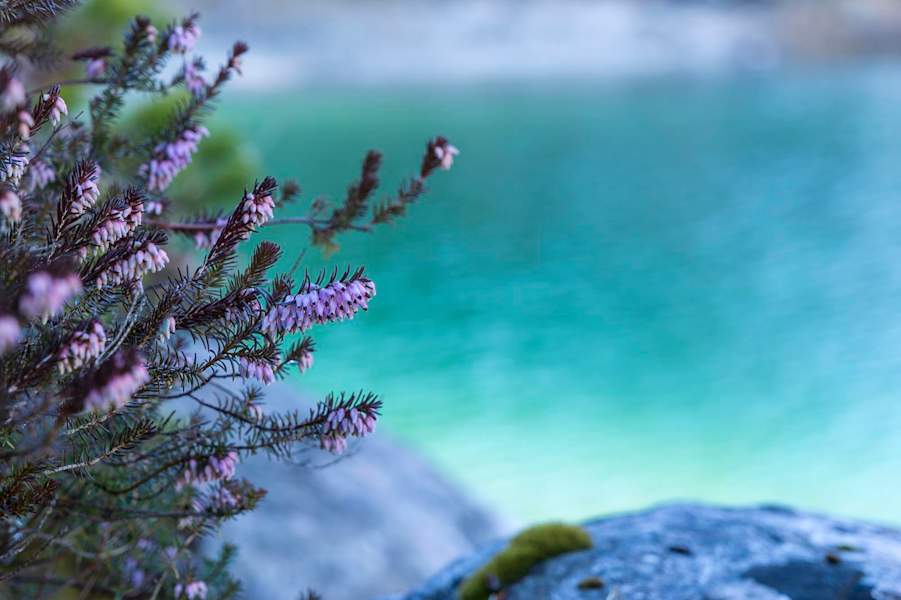 Eibsee in Garmisch-Partenkirchen