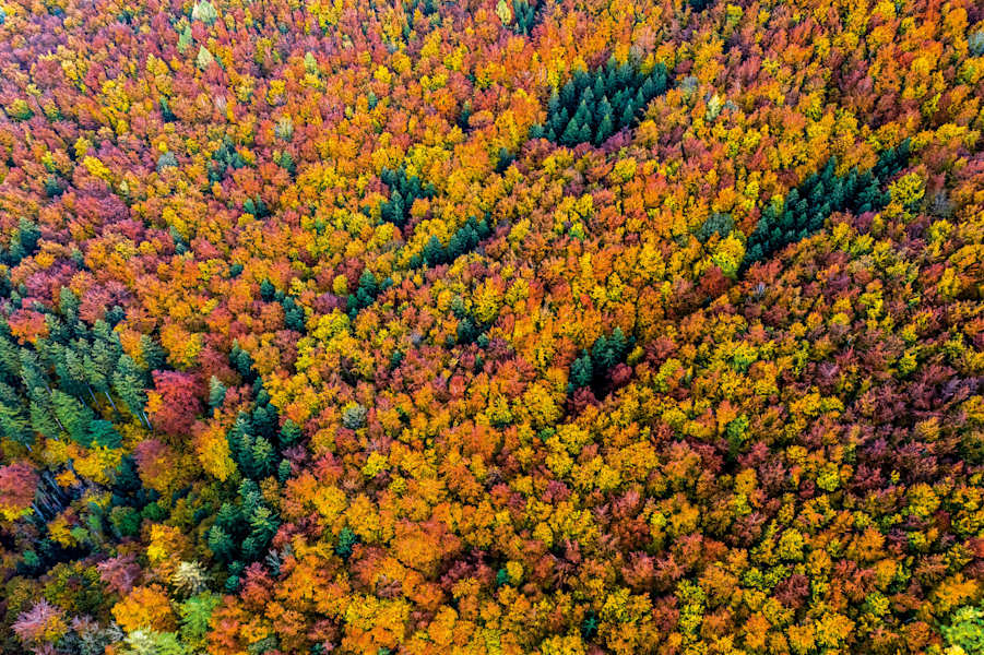 Bernd Römmelt Naturwunder Bayerische Alpen