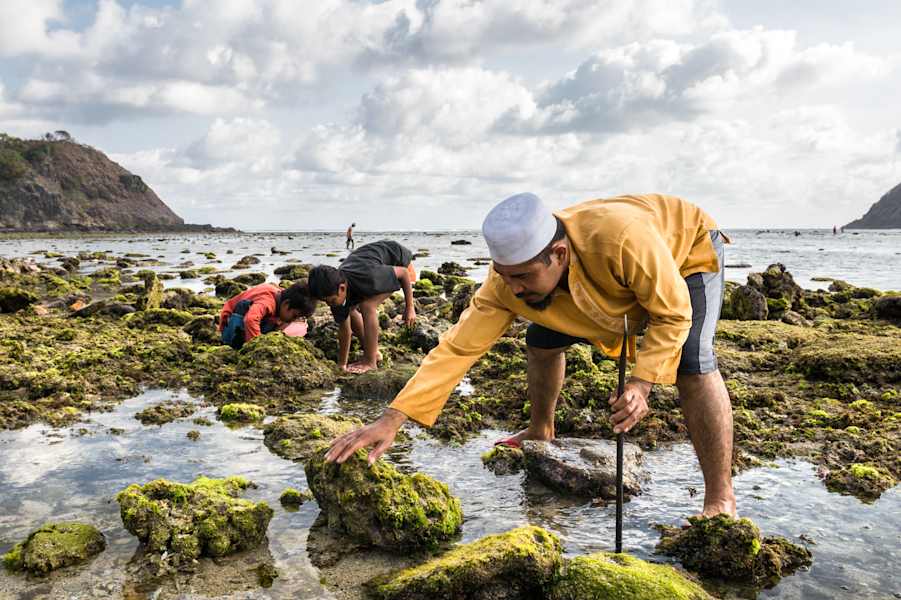 Vater und Söhne beim Muscheln suchen