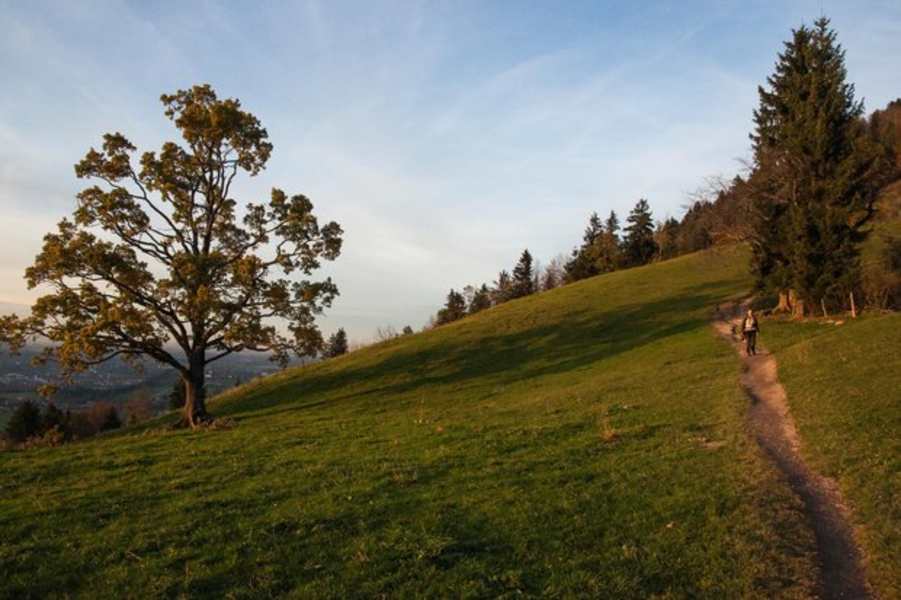 Absteig von der Sonntratn im Abendlicht