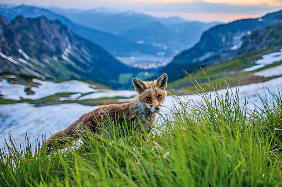 Bernd Römmelt Naturwunder Bayerische Alpen