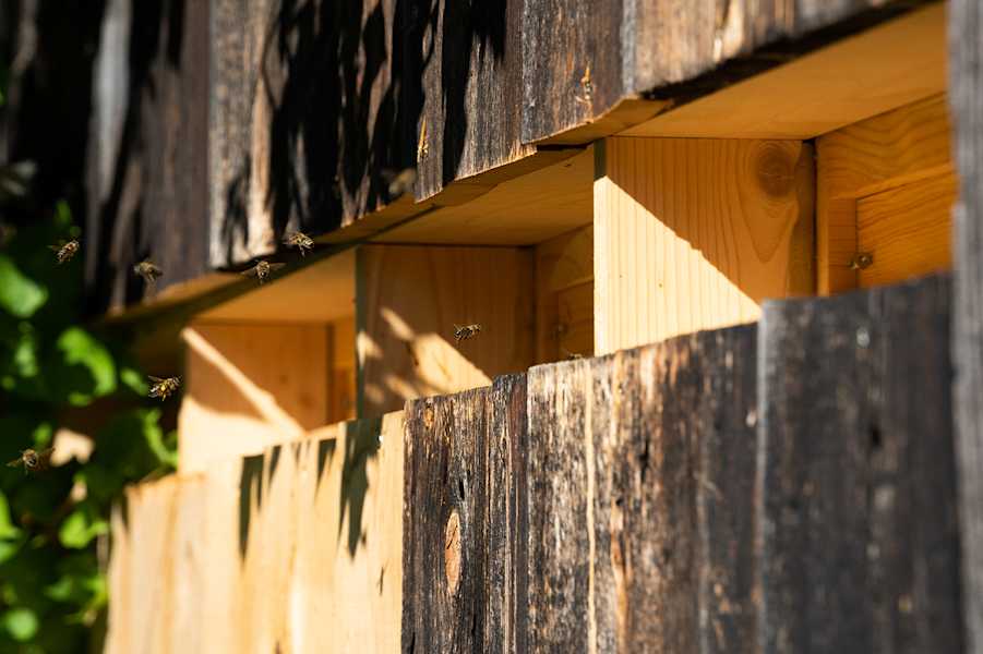 Bienenstock der Familie Unterberger in Zimmermoos Halt