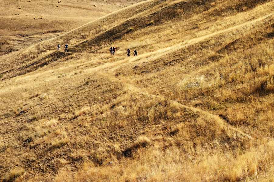 Für die Trans-Provence gibt es zwei ideale Zeitpunkte - den Frühling bzw. Frühsommer und den Herbst. Im Sommer ist es meist zu heiß. Im Herbst dominieren gelbbraune Gräser die weiten Almgebiete.