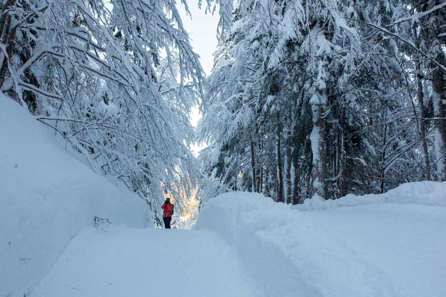 Seefeld Winterweitwanderweg