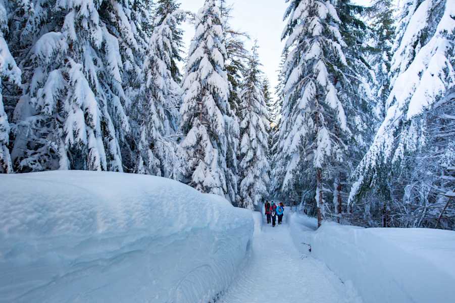 Seefeld Winterweitwanderweg