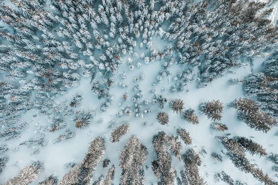 Naturjuwel Nationalparkregion Gesäuse