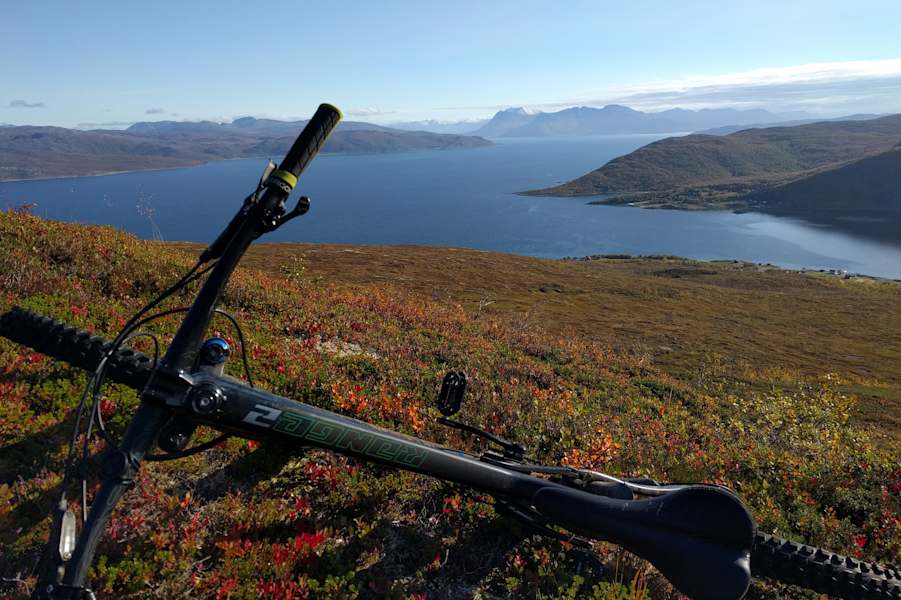 Senja Norwegen Reise