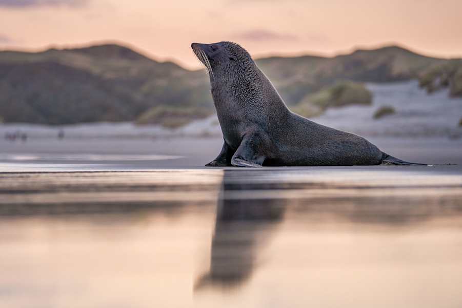 Familienurlaub Neuseeland