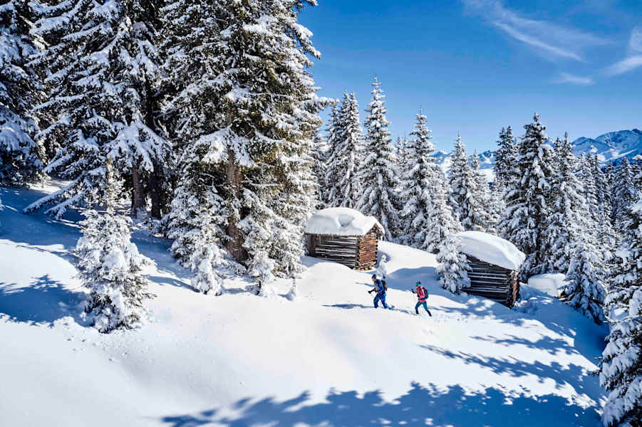 Die ruhige Seite des Winters genießen - unterwegs mit Schneeschuhen.