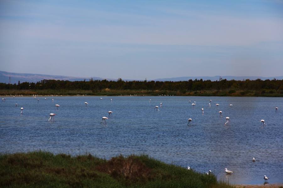 Sardinien Wandern VW-Bus Kinder
