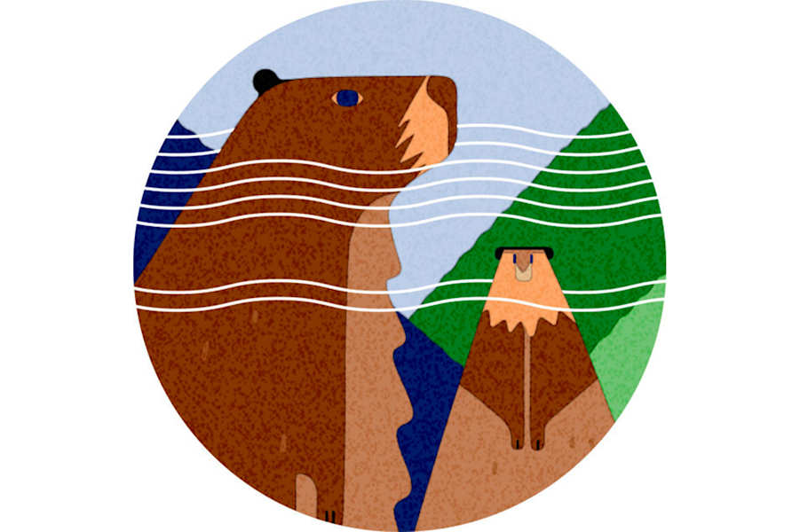 Wandern Spuren in der Natur