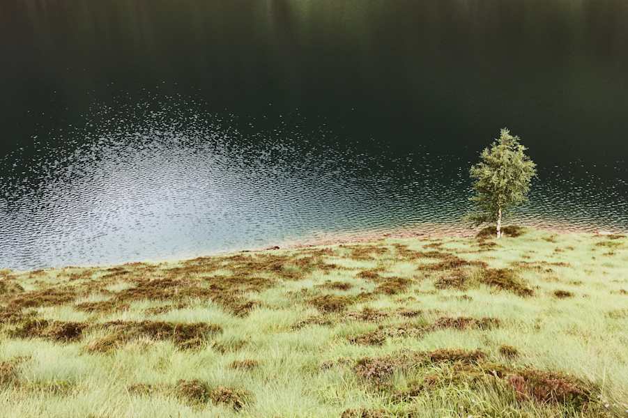 Ana Zirner In 40 Tagen über die Pyrenäen