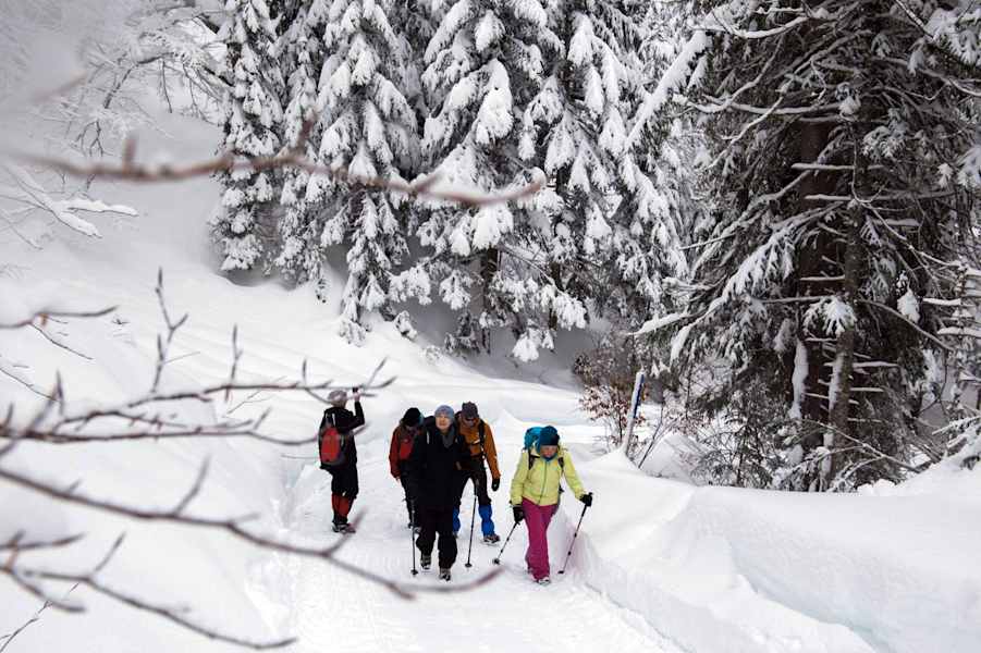 Seefeld Winterweitwanderweg