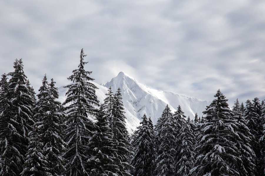 Seefeld Winterweitwanderweg