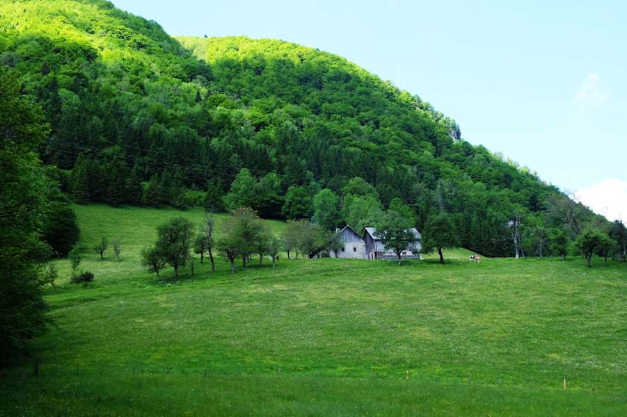 Austragungsort der Kräuterwanderung: Alm in Küpfern bei Weyer in Oberösterreich