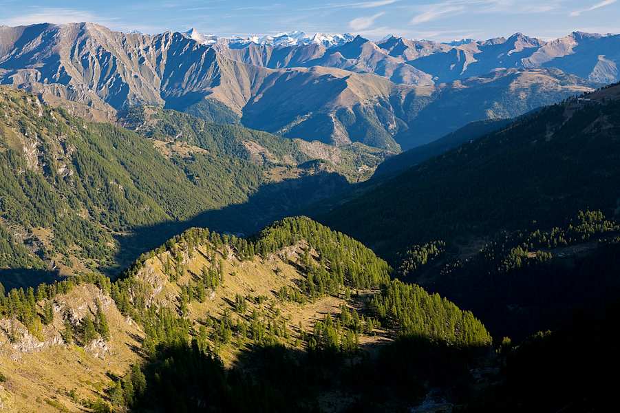 Vom Höhenweg Gran Guglia schweift der Blick bis zu den Walliser 4000ern.