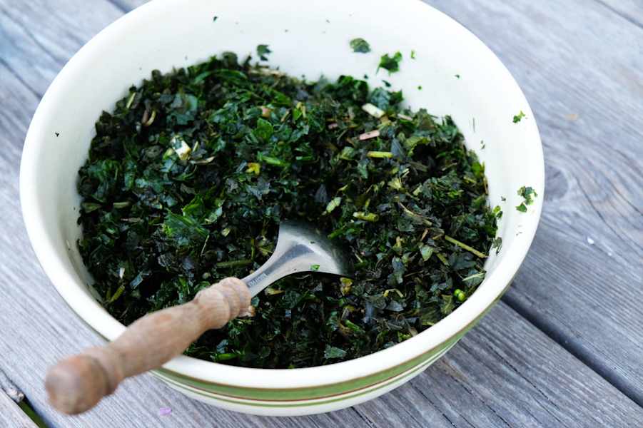 Kräuterwandern: Pesto aus Bärlauchknospen und Brennesseln