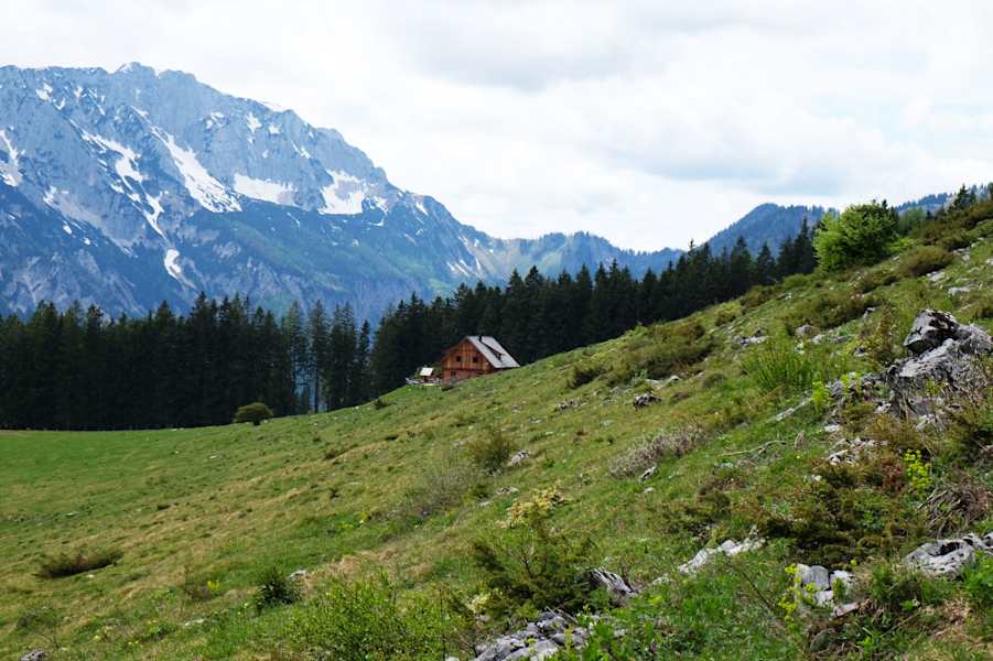 Almgebiet im Nationalpark Kalkalpen