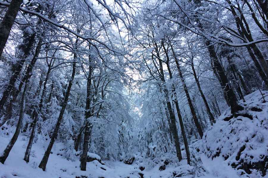 Transsilvanien: Munții Bârsei bei Brașov