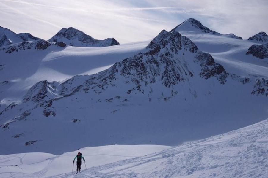 Schaut uns zu: Similaun und Marzellkamm