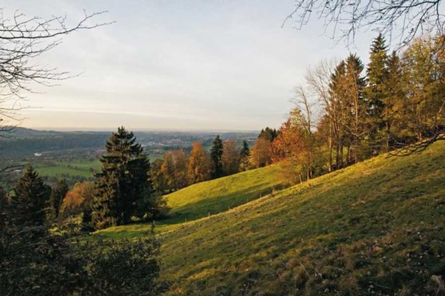 Absteig von der Sonntratn im Abendlicht