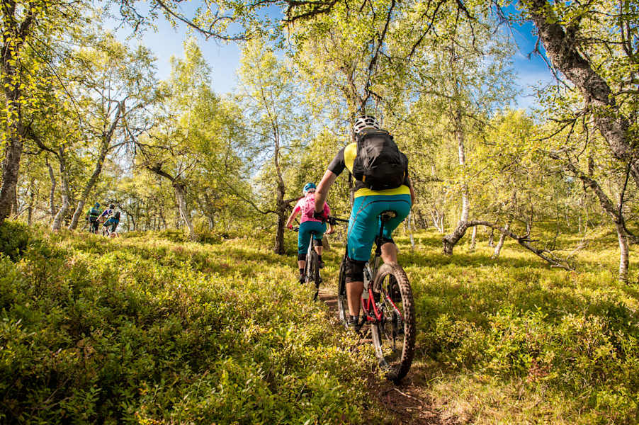 Mountainbiken in Norwegen
