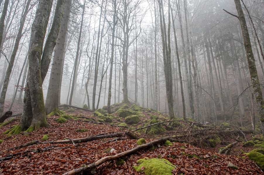 Höhlen-Expedition in den Weißenbacher Mauern