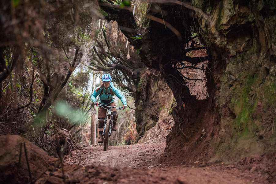 Zwischendurch geht's auch mal in die Ferne, hier auf Madeira