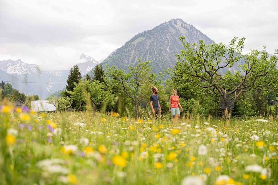Eine Wanderung durch die frühlingshafte Blumenpracht.