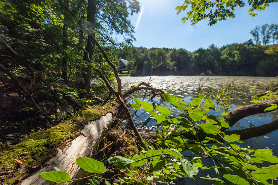 Im Naturpark Uckermärkische Seen