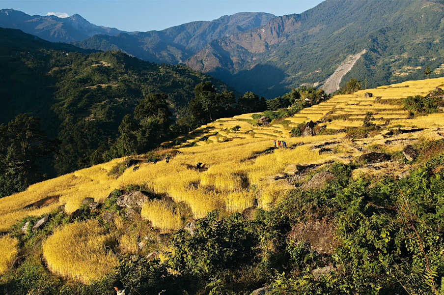 Bergwelten Himalaya Tyrolia