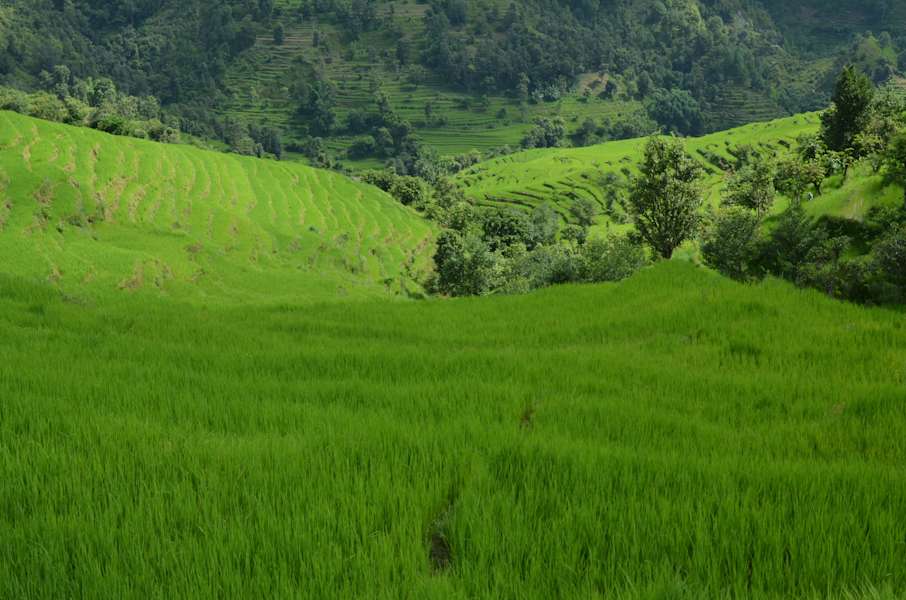 Trekking Nepal Manaslu