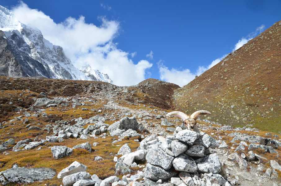 Trekking Nepal Manaslu