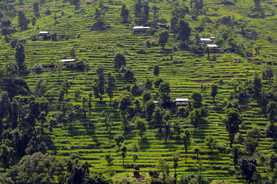 Trekking Nepal Manaslu