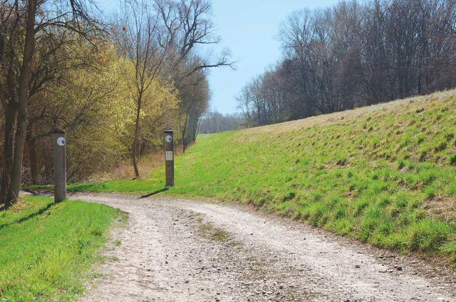 Der Hochwasserschutzdamm bei Mannswörth
